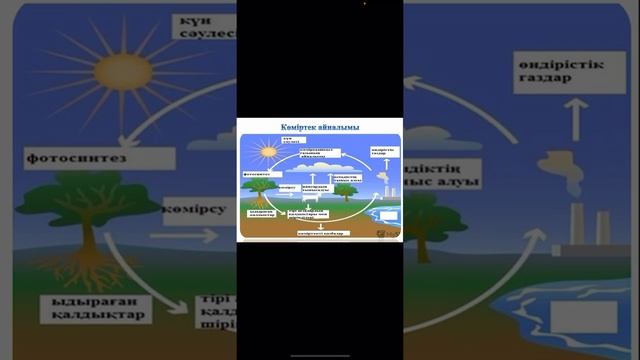 5-ші сынып. 3 тоқсан. Бөлім:Тірі және өлі табиғаттағы процесстер.Тақырып: Табиғаттағы зат айналымы смотреть онлайн