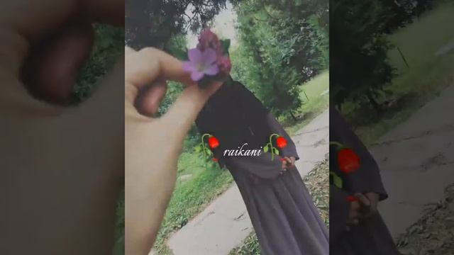 "новая цыганская песня 2023„сапани смотреть онлайн