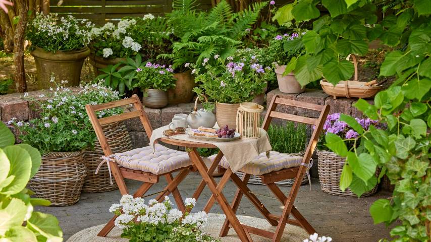 КАК ПРАВИЛЬНО УКОРЕНЯТЬ ЧЕРЕНКИ КЛУБНИКИ / ДЕРЕВЕНСКИЙ ОБЕД / ЛЮБИМЫЙ САД