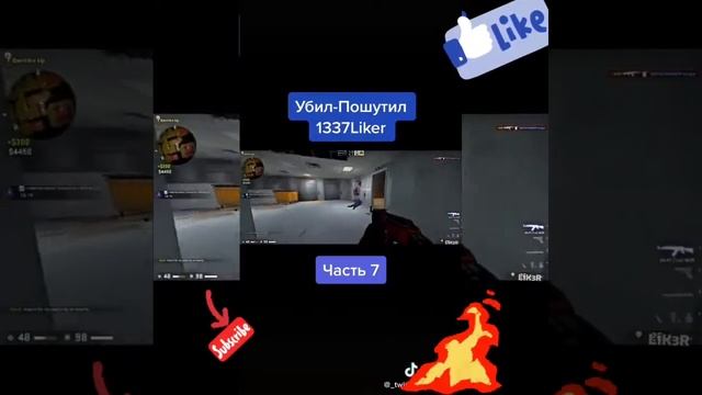 Самые прикольные видио из тикток смотреть онлайн