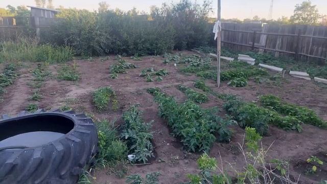 Ковалевка Дом где прошло детство Нургалиева ДА