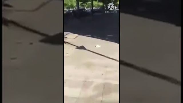 поздравления и пожелания моих одноклассников 2 часть. смотреть онлайн