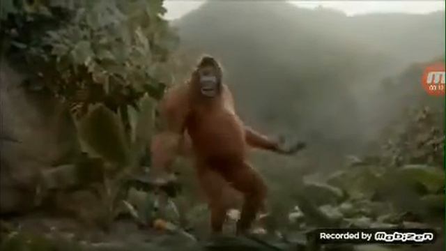 Обезьяна танцует прикол