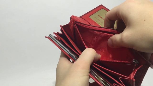 Женский кожаный кошелек на молнии BRISTAN WERO 2417 -KALVADOSS