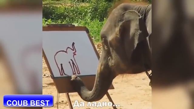 МЕГА ПРИКОЛЫ 114 смотреть онлайн