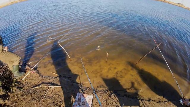 Оснастка убийца карася . Очень много рыбы. Уловистая прикормка на карася . смотреть онлайн