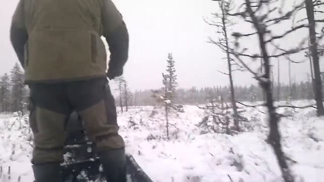 Пахус МД смотреть онлайн