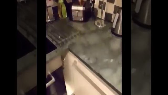 Приколы ;) смотреть онлайн