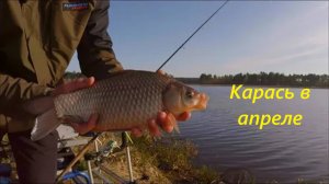 КАК ЛОВИТЬ КАРАСЯ в АПРЕЛЕ? МЕСТА и НАЖИВКИ для ЛОВЛИ КАРАСЯ ВЕСНОЙ. ВРЕМЯ для ЛОВЛи КАРАСЯ