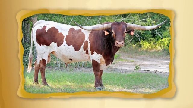 С добрым утром, малыши! - Клуб деловых детей - Выпуск №4. Золото и его роль в экономике смотреть онлайн