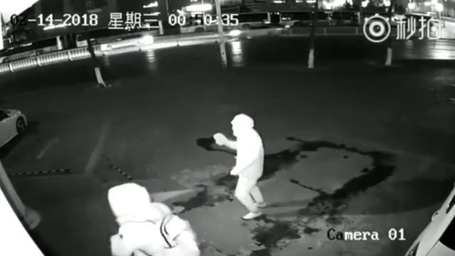 Тупой и ещё тупее! | Прикол смотреть онлайн