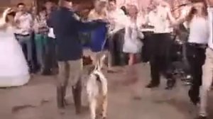 Приколы на свадьбах видео ★★★ Wedding Fails, Funny Wedding ★★★ 2015 Февраль