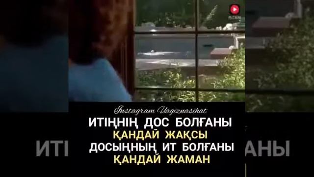 Собака спас девочку смотреть онлайн