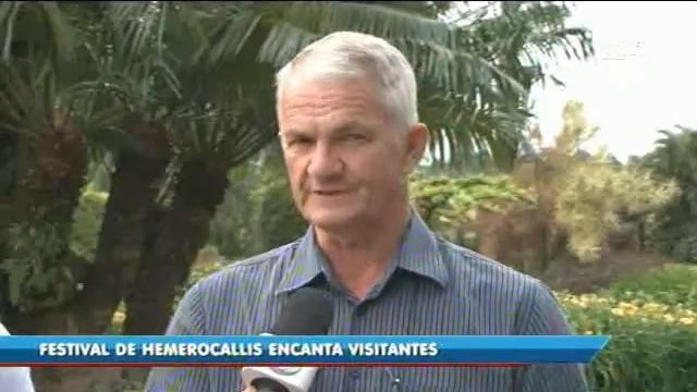Festival de Hemerocallis encanta visitantes em Joinville смотреть онлайн