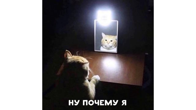 Приколы. Мясо не положено! ТАК ПОЛОЖИТЕ | Мемозг #147 смотреть онлайн