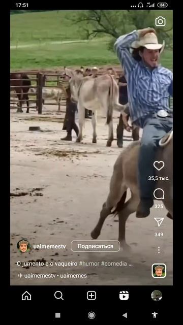 юмор)))сел на осла#shorts смотреть онлайн