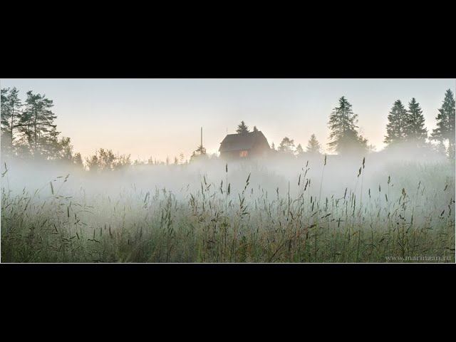 Наталья Колесникова. Читает Владислав Витковский смотреть онлайн