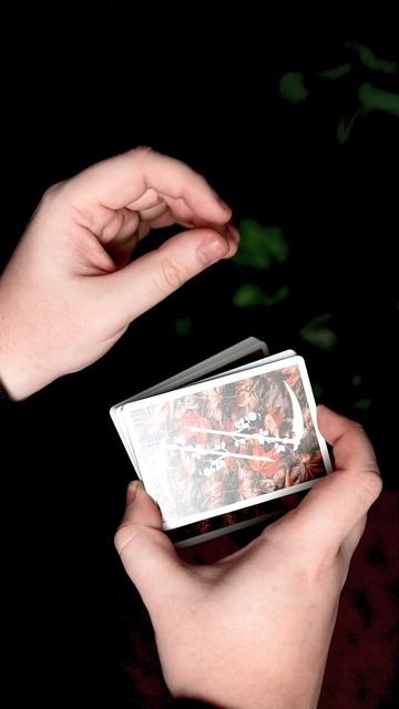 Выучи ТАСОВКУ колоды из Фильма СОЮЗНИКИ смотреть онлайн