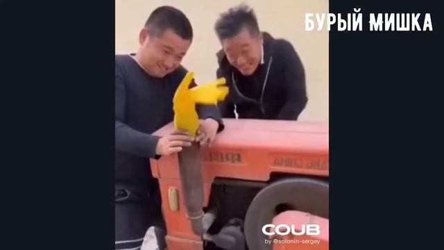 BEST CUBE| BEST COUB| COUB| КУБЫ | ПРИКОЛЫ 2021 | #19 смотреть онлайн