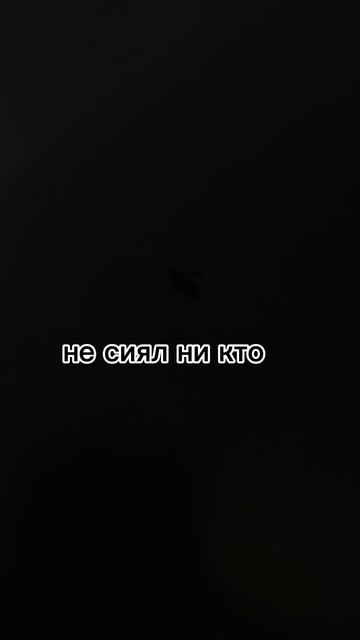 Муха сияй смотреть онлайн
