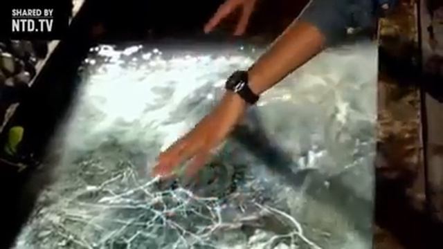 Телеграм прикол смотреть онлайн