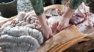 Как Разделать Свиную Тушу ?!! Часть 1 .