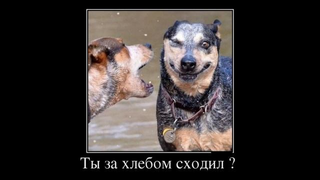 Лучшие демотиваторы за июнь 2014 года! смотреть онлайн