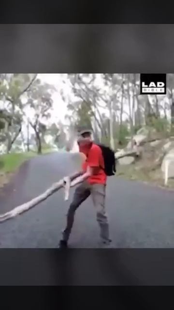 Короткие приколы смотреть онлайн