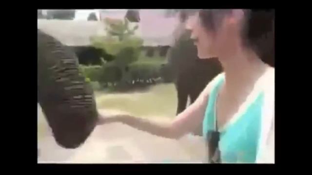 ЛУЧШИЕ ПРИКОЛЫ ИНТЕРНЕТА 2016 Funny Fails Лучшая Подборка Приколов #9 смотреть онлайн