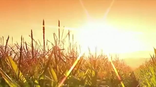 "Как прекрасна жизнь..." ......посвящаем нашей Родине ..... смотреть онлайн