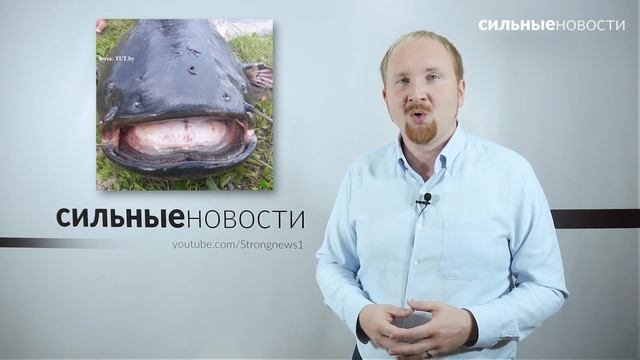 Главное за день — вечерний выпуск «СН». 17.07.2019