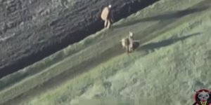 Услышали русский FPV и сразу выставили свои дупы