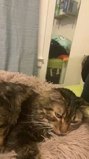 I Would Like To See The Baby смотреть онлайн