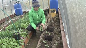 6 соток 26 апреля 2025 года. 2 часть.