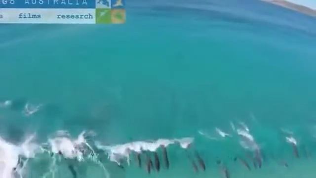 Свежие видео приколы, чудаки чудят смотреть онлайн