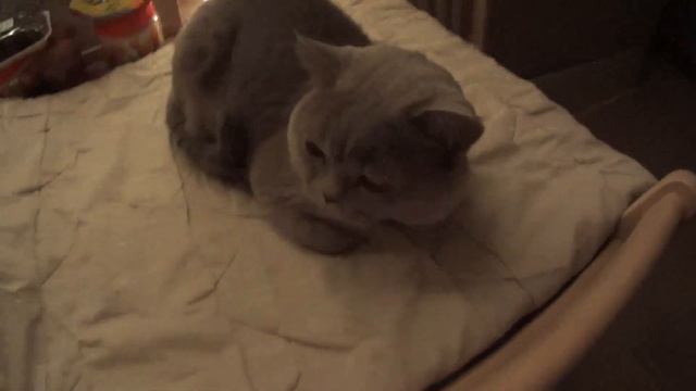 Праздник с привкусом корвалола смотреть онлайн