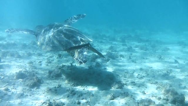 "Easy Does It" смотреть онлайн