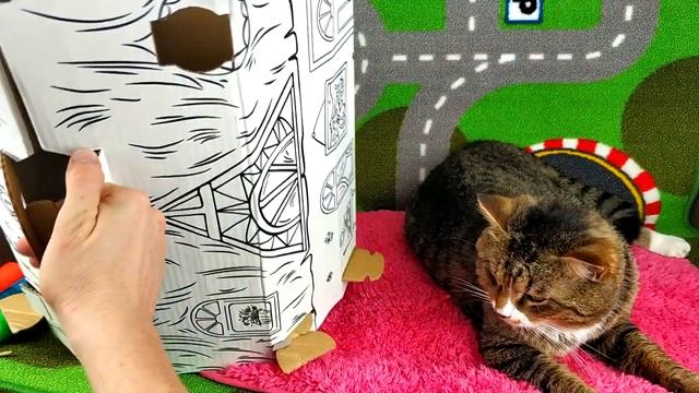 О боже Кот построил себе дом Обзор домика для кота Тигры | Pet Cat смотреть онлайн