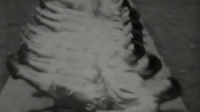 Choki Motobu - Okinawa Te - Karate