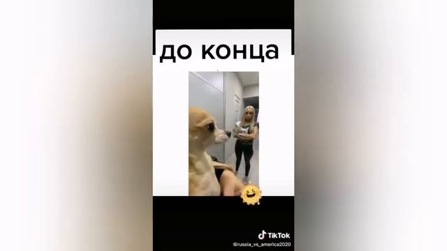 Янги узбекча приколлар 2021 / yangi uzbekcha prikollar 2021 смотреть онлайн