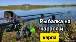 Рыбалка 2025 на карася и карпа. Донки, флэт и классический карповый монтаж #рыбалка2025 #fishing
