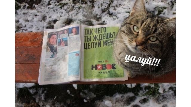 Приколы. УРОНИЛ ФРИКАДЕЛЬКУ | Мемозг #118 смотреть онлайн