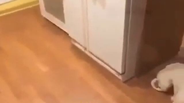 Не любить есть один ...скучно ... смотреть онлайн