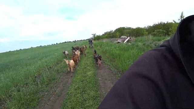 Велопоход по Лугарии 2023 05 21 смотреть онлайн