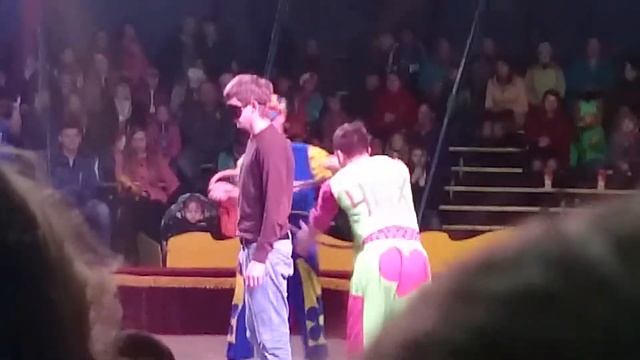 Воронежкий цирк 