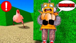 Я УКРАЛ КУРИНЫЕ ЯЙЦА и ЭТО БЫЛО ОШИБКОЙ в РОБЛОКС!