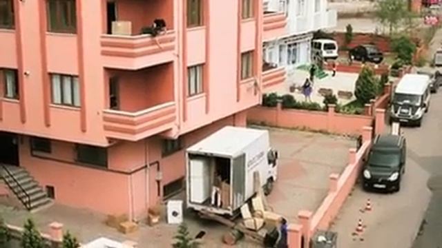 Заселяються красиво смотреть онлайн