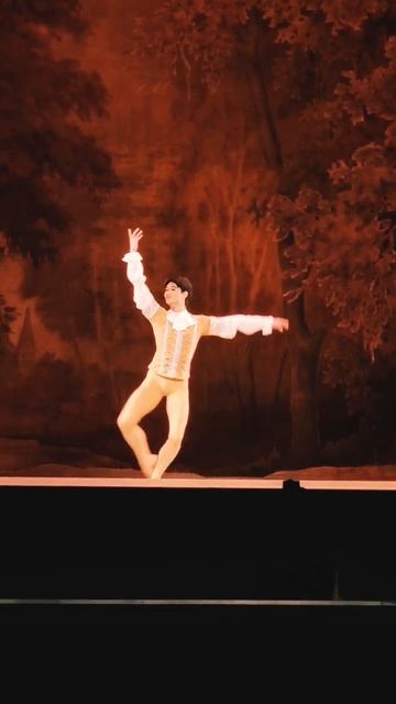 Kimin Kim The Sleeping Beauty Prince Désiré act 2, Кимин Ким Спящая красавица принц Дезире, 김기민 잠미녀 смотреть онлайн