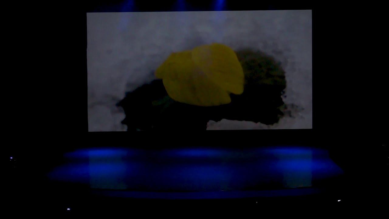 Читает Владислав Витковский. Танцует Кристина Витковская смотреть онлайн