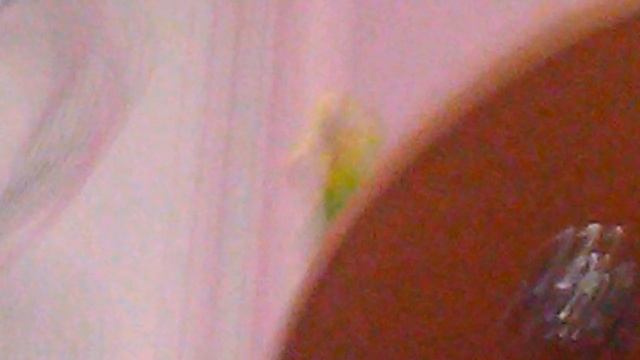 Хип-хоп  реп